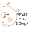 Puffy Rabbit PUDEL 14