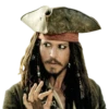 Pirates Of The Caribbean 8