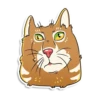 prosto_cats_and_dogs 12