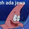 petrik jamet 16