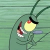 plankton 13