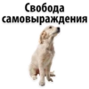 Puppies 18