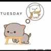 TUESDAY
لیس
لله
REACUL LOVES -----