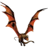 Harry P. 12