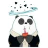 Panda 11