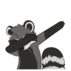 Raccoons 10