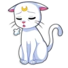 Sailor Moon 21