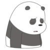 Panda LizF 17