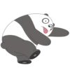 Panda LizF 18