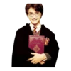 Harry P. 15