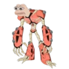 Pepe 18
