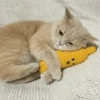Cat moods’ 17