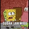 spongebob memes 22