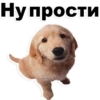 Puppies 22