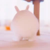 sOft rabbit 20