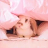 sOft rabbit 21