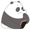 Panda LizF 23
