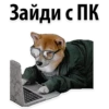 Puppies 24