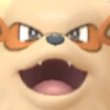 Pokémon Up Close 20