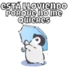 Pingüis 15