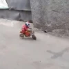 MONKEY 24