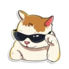 prosto_cats_and_dogs 17