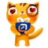PSB Cats 10