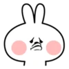 RabbitByManuLinda 28