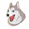 prosto_cats_and_dogs 18