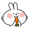 RabbitByManuLinda 29