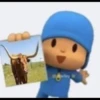 pocoYo 25