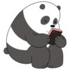 Panda 16
