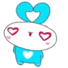rabbit 12