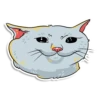 prosto_cats_and_dogs 20