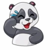 Little Panda 9