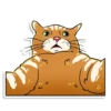 prosto_cats_and_dogs 21