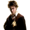Harry P. 22