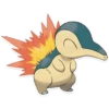 Pokémon 29