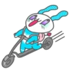 rabbit 13
