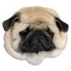 pug_leonid 27