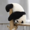 Panda 30