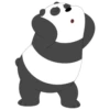 Panda 17