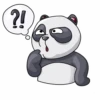 Little Panda 10