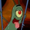 plankton 19