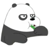 Panda 18
