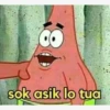petrik jamet 29