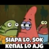 spongebob memes 30