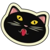 playful cat 6