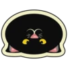 playful cat 8