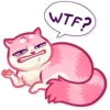 Pussy Cat 5